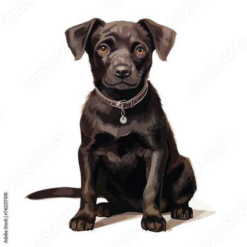 Patterdale Terrier Clipart clipart isolated on white background 
