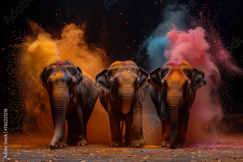 Full-length three elephants, with colored powder explosion on holi Festival of Colors parade, with empty background