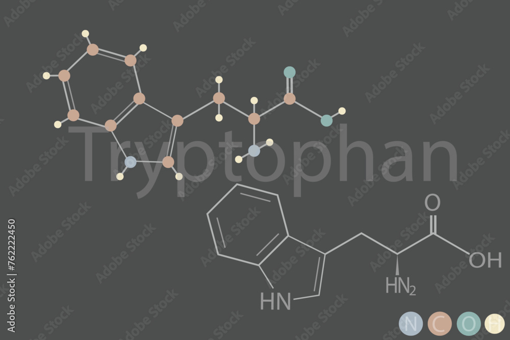 tryptophan molecular skeletal chemical formula tryptophan molecular skeletal chemical formula