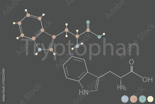 tryptophan molecular skeletal chemical formula	