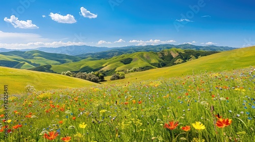 A panoramic vista of rolling hills blanketed in vibrant green grass, dotted with colorful wildflowers under a clear blue sky. photo