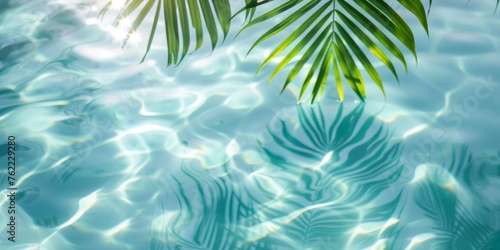 Palm leaf shadows and sun glare on the gentle ripples of a clear tropical pool.