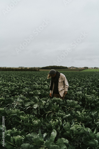 Person holding harvested carrots in field