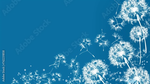 Banner of beauty white dandelion on a blue background 