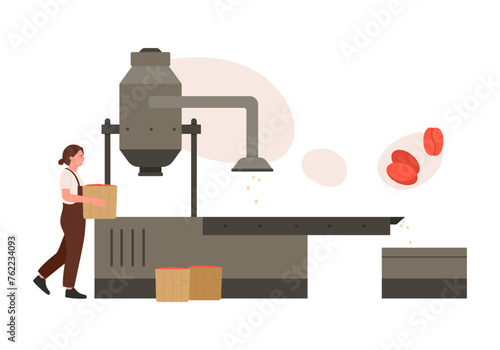 Roasting coffee beans process. Natural coffee production cartoon vector illustration