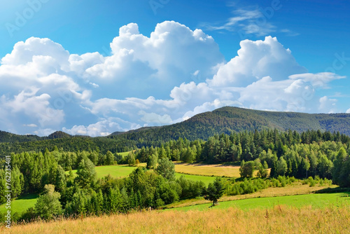 Fototapeta Naklejka Na Ścianę i Meble -  Summer trees and pasture in a beautiful mountain landscape.
Summer landscape in Sadecki Beskids, Poland.