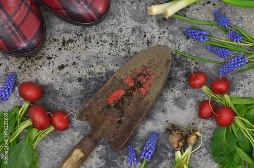 Harvest from a garden: flowers, vegetables, garden shovel, gumboots. Top view.