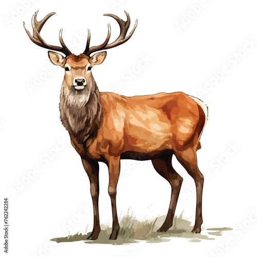 Reindeer Clipart