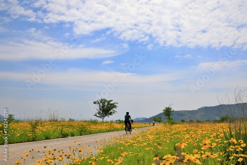 봄 공원풍경 - 노란색 들판 © JU