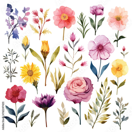 Various Watercolor flower Clipart © Aina