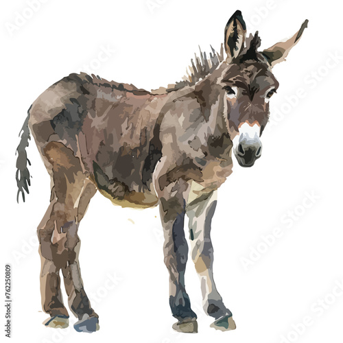 Watercolor Donkey clipart isolated on white background