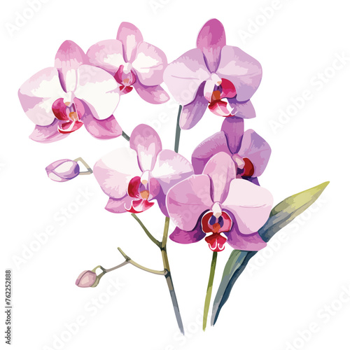 Watercolor Orchid clipart isolated on white background