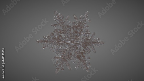 SnowFlake Perspective 4
( 3D Model , 3D Rendering , 3D Illustration )