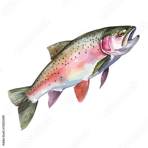 Watercolor Rainbow Trout Clipart