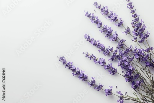 Background with two spikes of blooming lavender on isolated white table. Top view. Horizontal composition.