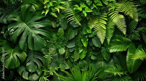 Green tropical background with jungle plants. Background of fern leaves. Exotic background of leaves of fern or bracken