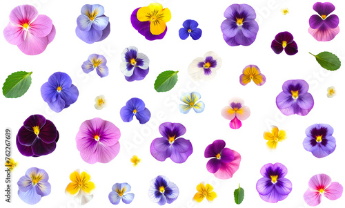 The beautiful spring flowers and leaves collection on a transparent background.