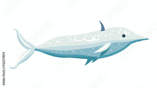 Narwhal Monodon monoceros isolated on white background