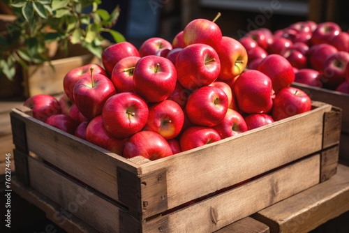 Wooden box with ripe red apples. Farm harvest, organic fruit.