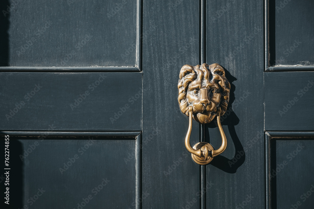 Close up of a lion's head door knocker on a black door. - obrazy, fototapety, plakaty 