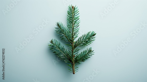 3d christmas leaf branch on blank light blue background, greeting cards, mockups, banners, portrait  photo