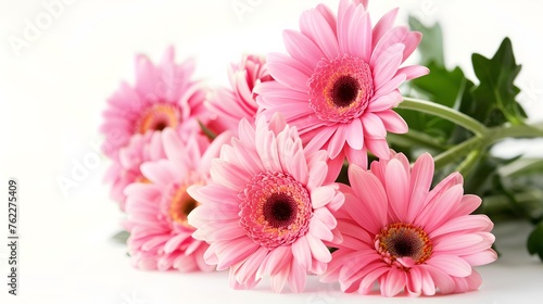 a bunch of pink daisies on a white background with a place for text