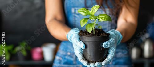 Woman in blue gloves, tenderly holding a potted green plant with vibrant leaves.