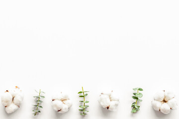 Flowers border with green eucalyptus branches and dry cotton on white background top view copy space. Blog header mockup