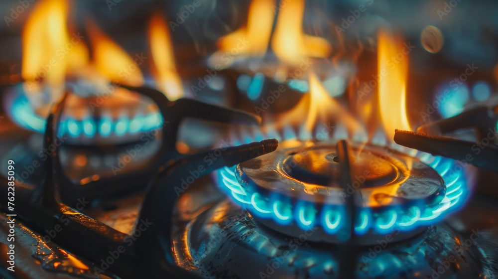 Fire and Fuel: The Essence of Natural Gas Burners
