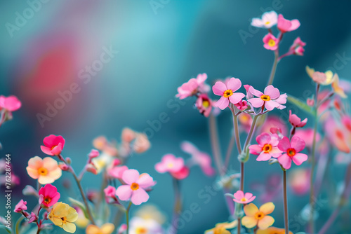 Colorful and beautiful flowers isolated in abstract minimalist copy space blue background, abstract flowers wallpaper concept, Beautiful flowers with empty space for text, colorful spring flowers © Ishra