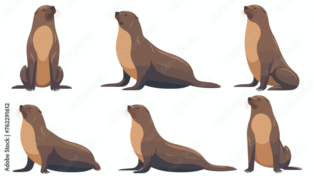 Sea lion or fur seal animals in different poses isol