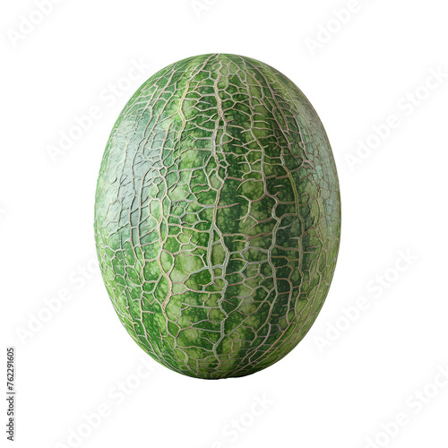 Oval muskmelon with finely textured green skin isolated on transparent background