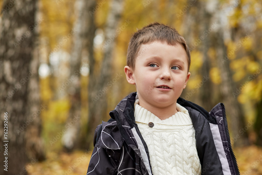 Close-up portrait of little boy standing in autumn park. Close-up portrait of little boy standing in autumn park.