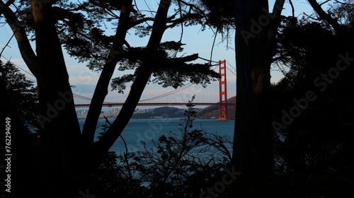 Golden Gate Bridge View from Eucalyptus Grove at Dusk © PhilipSebastian