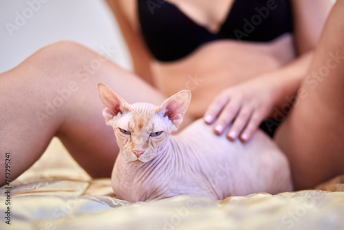 Woman in black underwear sits on bed stroking lying sphinx cat, focus on cat face.