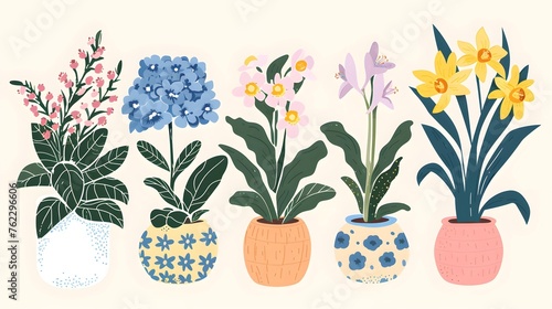 Flowers in pots home plants flat illustration banner green leaves yellow, blue, pink flowers botanical spring floral design ceramic flowerpots, hydrangea, lily, narcissus, tulip