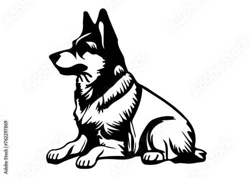 Dog 11