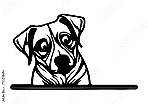 Dog 03