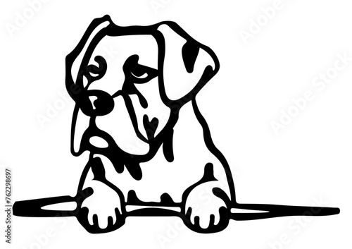 Dog 01