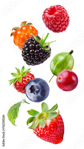 Juicy flying forest berries  raspberry  cloudberry  blackberry  gooseberry  cranberry  wild strawberry  blueberry  strawberry isolated on a transparent background.