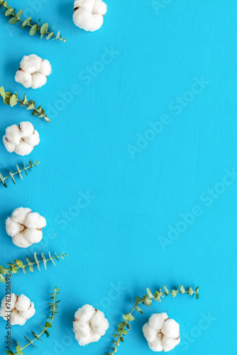 Flowers border with green eucalyptus branches and dry cotton on blue background top view copy space. Blog mockup