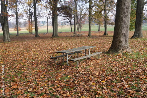 Weathered Wooden Picnic Table in Park with Fall Leaves on the Ground
