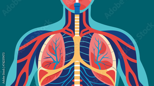 A detailed view of the respiratory system showcases the delicate structures responsible for oxygen delivery to the body.