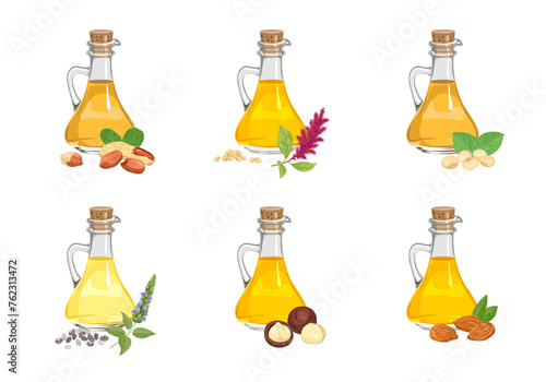Set of different cooking oils in glass bottles, seeds, nuts and plants. Vector cartoon illustration of almond, peanut, macadamia, amaranth, soybean and chia seed oil.