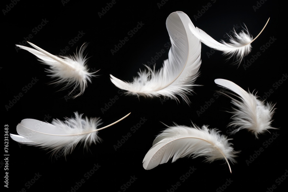 Obraz premium feathers flying on a black background,