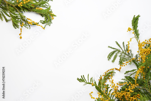 Flowers composition. Mimosa flowers on a white background. Spring concept. Flat lay, top view, Space for text. photo