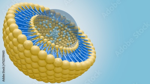 3d rendering of nanomedicine inside of liposome lipid bilayer