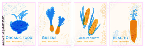 Leeks, corn, kohlrabi and daikon radish. Set of vector vegan posters with vegetables in risograph style.