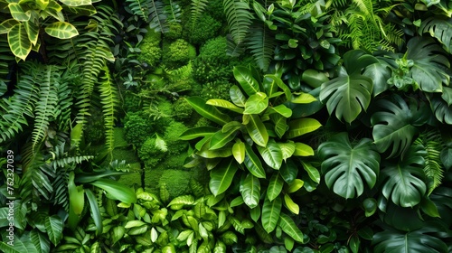 Lush green foliage background featuring a variety of plants