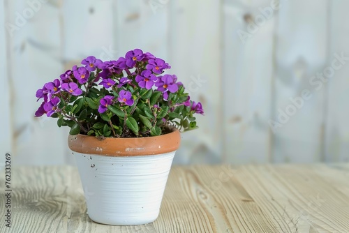 pot with purple flowers